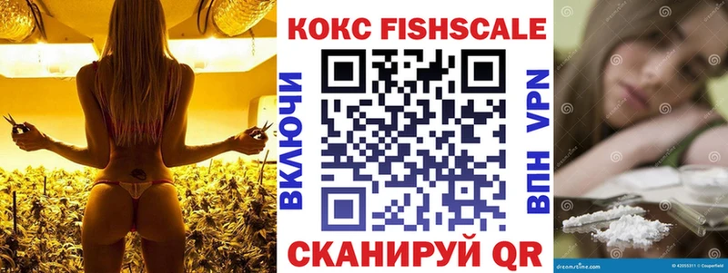 где купить   Сольцы  Cocaine Columbia 